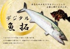 一点物】レントゲン魚拓舌平目