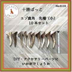 No.1724『鹿角端材19kgセット』鹿の角エゾ鹿鹿角蝦夷鹿