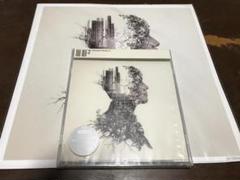 Amazon.co.jp: YUKI : 【Amazon.co.jp限定】Wave (アナログ盤