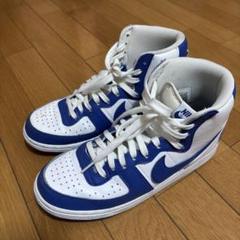 NIKE ターミネーター　High