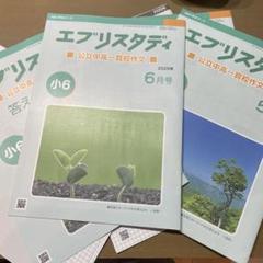 Z会 小6 エブリスタディ作文 2024年1～2月号 公立中高一貫適性