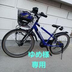 CAT『引取限定』シティサイクル　エンドウ商事　ARIATE 24インチ青 CAT様専用『引取限定』シティサイクル エンドウ商事 ARIATE 24