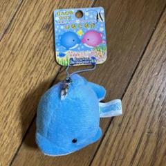 イルカ ぬいぐるみキーホルダー Kamogawa Sea World