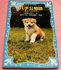 田丸瑞穂の中古 未使用品 メルカリ