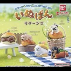 いぬぱん　キーホルダー いぬぱん ガチャ パグ犬 犬キーホルダー - メルカリ