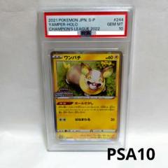 PSA10】ワンパチ プロモ チャンピオンシップ CL2022 244/S-P