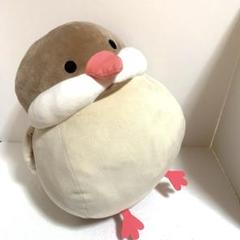 文鳥　しまむら　ぬいぐるみ　シナモン文鳥　抱き枕　クッション　高さ30cm