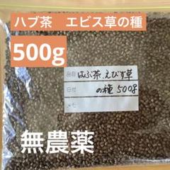 m43135781664_1.jpg?1700184221