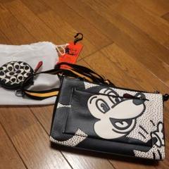 2025年最新】コーチ ディズニー キース ヘリングの人気アイテム