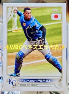 世界２５枚　PSA10　2023  WBC31サルバドール・ペレス 2025年最新】サルバドールペレスの人気アイテム - メルカリ