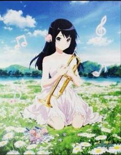 も*ー様 【新品未開封】響け!ユーフォニアム バースデー