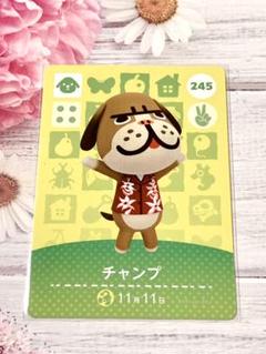 チャンプ どうぶつの森 amiiboカード
