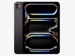【新品未開封】2024 iPad Pro 11インチ WiFi 256GB M4