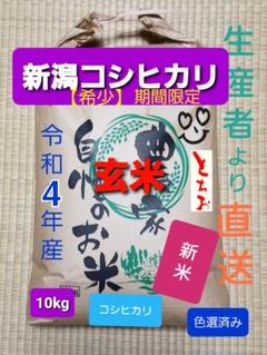 割引中】令和4年 宮崎県佐土原産コシヒカリ 10kg - メルカリ