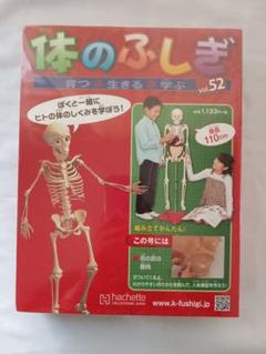 アーサーが教える 体のふしぎ41〜80巻【2/2】※商品説明を必ずお読み下さい‼︎ 2025年最新】アーサー 体のふしぎの人気アイテム - メルカリ