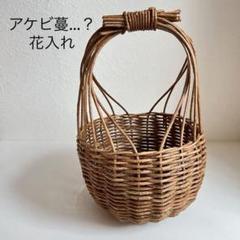 あけび蔓 6500g あけび蔓 6500g