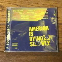 America Is Dying Slowly