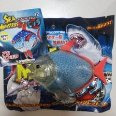 2025年最新】シーモンスターズ&co ビッグの人気アイテム - メルカリ
