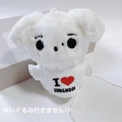 2025年最新】enhypen ぬいぐるみ 服の人気アイテム - メルカリ
