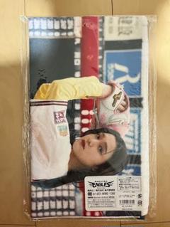 安杜羽加いぎなり東北産いぎなりフォトロンT いぎなりネームタオル