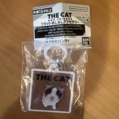 THE CAT フラットめじるしアクセサリー