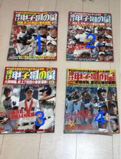 甲子園の星 2010.2011.2012.2013