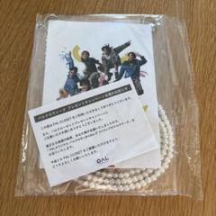パルクロ すっきゃねんず マルチケース