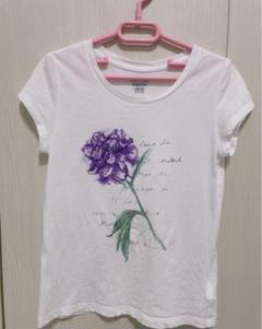 ラルフローレン　Tシャツ　130 6歳　刺繍