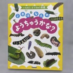 【古本】これはなんのようちゅうかな? : いもむし・ようちゅう図鑑