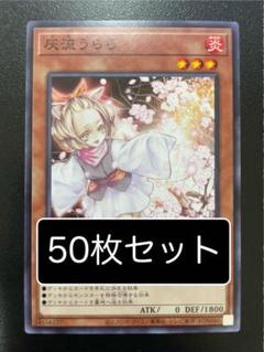 遊戯王　灰流うらら　ノーマル　50枚