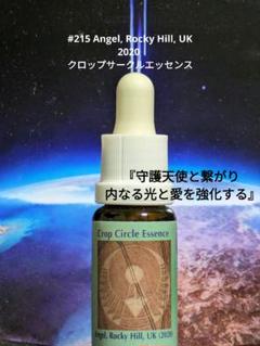 2025年最新】クロップサークルエッセンスの人気アイテム - メルカリ