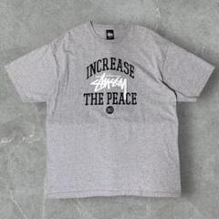 【希少レア】Stussy オールドステューシー カレッジロゴプリントTシャツ