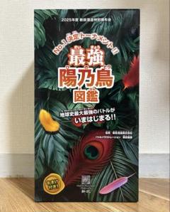 新政 頒布会 ノベルティ バンダナ 手ぬぐい 3枚セット