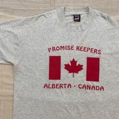 ●国旗T●フルーツオブザルーム USA輸入Tシャツ シングルステッチ カナダ