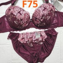 【新品未使用】格安！ブラショーツセット F75 941901 ワインレッド 綺麗