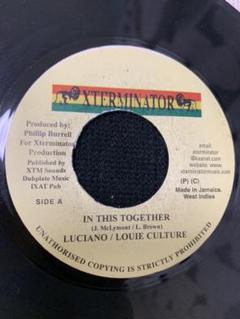 IN THIS TOGETHERリディム5枚セット レゲエ レコード