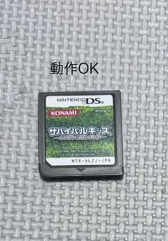 ニンテンドーDS ソフト サバイバルキッズ LOST in BLUE2 本体