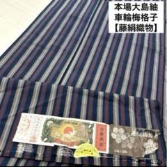 本場奄美大島紬 美しい蝶の絣柄 着物 正絹 証紙付き 袷 広衿 RK-5572 本場奄美大島紬 美しい蝶の絣柄 着物 正絹 証紙付き 袷 広衿 RK-