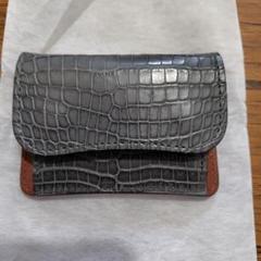 銀座限定一点物 ワイルドスワンズ WILDSWANS クロコダイル TONGUE WILDSWANS銀座店からのご案内～クロコダイル編～ | WILDSWANS