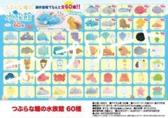 つぶらな瞳の水族館　全種類 つぶらな瞳の水族館 全種類 - メルカリ