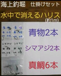 海上釣堀 仕掛け 青物の中古 未使用品を探そう メルカリ