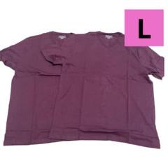 Tシャツ Vネック レギュラーフィット 半袖 メンズ 2枚 赤紫