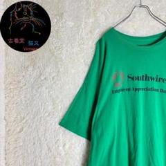 ✭Tシャツ　緑　プリント　ゆるだぼ　オーバーサイズ　ビッグサイズ　3XL✭