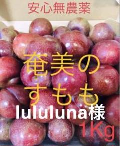 ★最終SALE★お得な3キロ！奄美のすもも　プラム　ガラリ 楽天市場】奄美大島産 すもも プラム 約3kg B級品 ご家庭用 L
