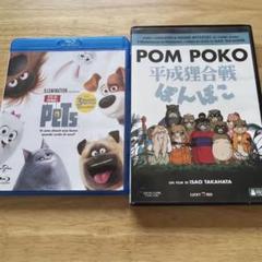 【イタリア語版】平成狸合戦ぽんぽこ& ペット blu-ray