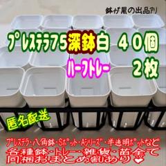 スリット鉢】プレステラ75深鉢白40個＋ハーフトレー2枚 プラ鉢