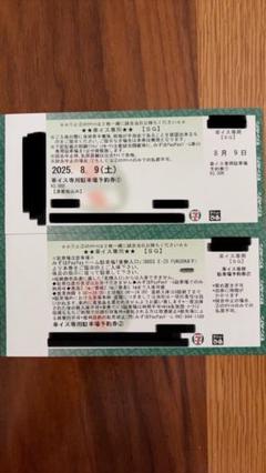 2025年8月9日 PayPayドーム駐車場チケット【車イス】のサムネイル