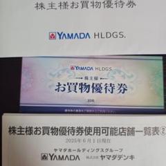 ヤマダ電機. お買物優待券 10枚セット　5000円分　期限:2025/12月末のサムネイル