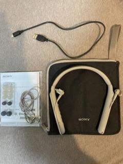 SONY WI-1000x