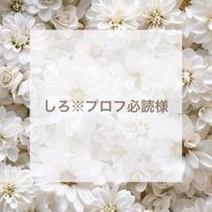 soulove(☆∀☆)プロフ必読☆さま専用 ♡ しろ※プロフ必読様 専用 ♡ - メルカリ